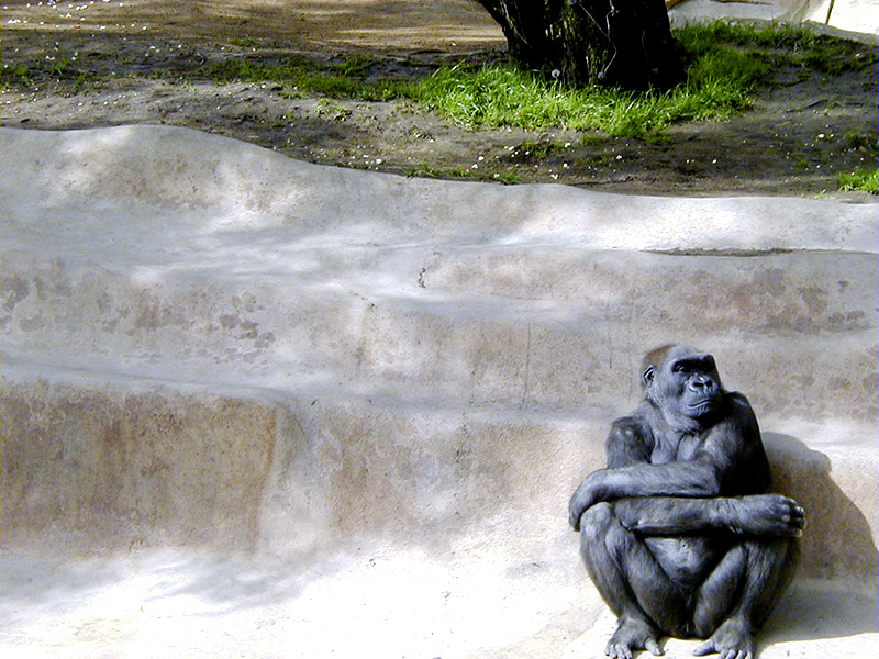 Pondering the universe