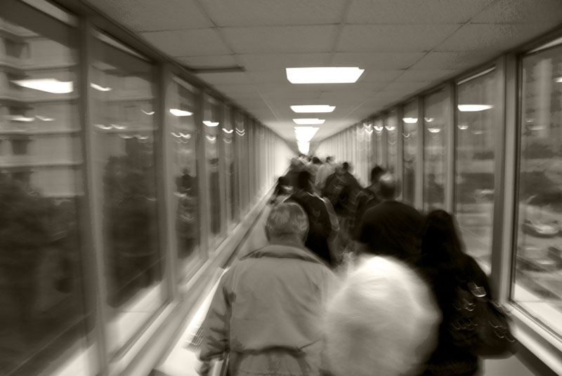 Daily Commute