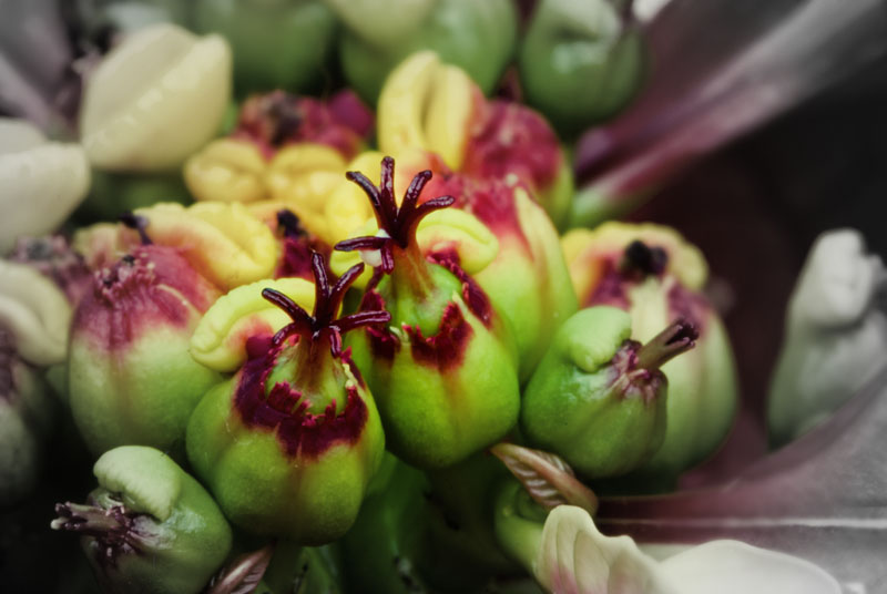 Carmen Miranda