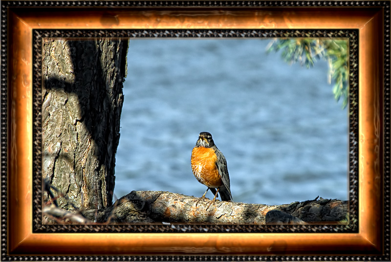 Waiting for the spring