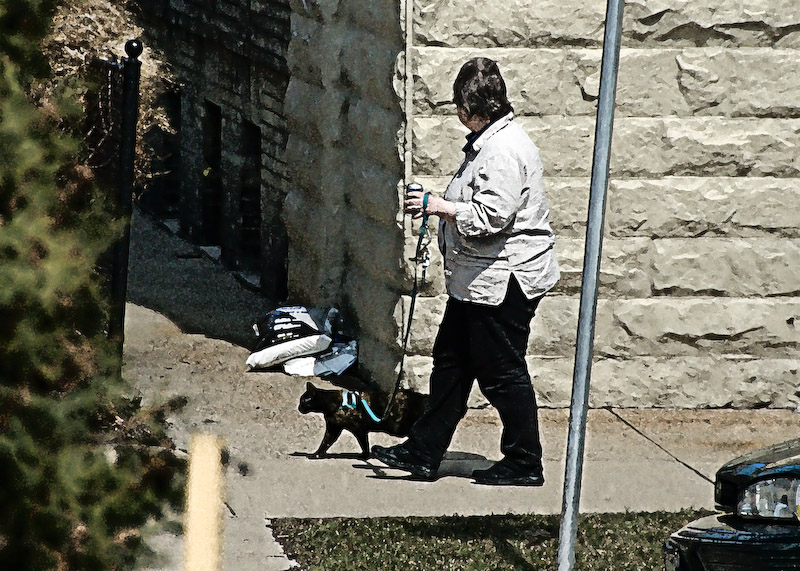 Walk the do...cat?