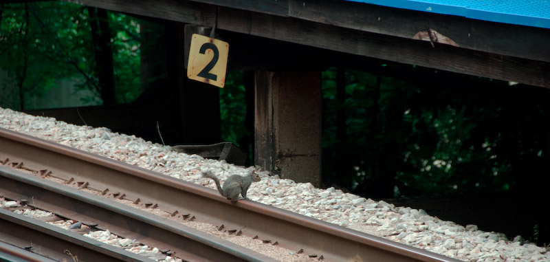 Third Rail
