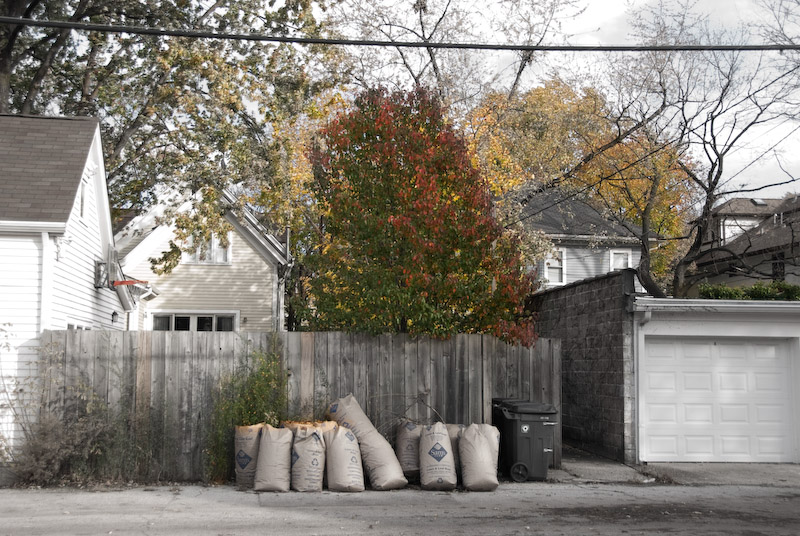 The trials of fall