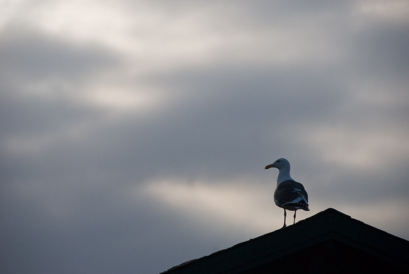 On the watch