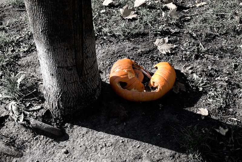 Decaying Pumpkin
