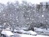 Chicago Winter