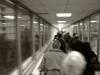 Daily Commute