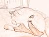 Comfort