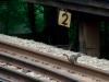 Third Rail